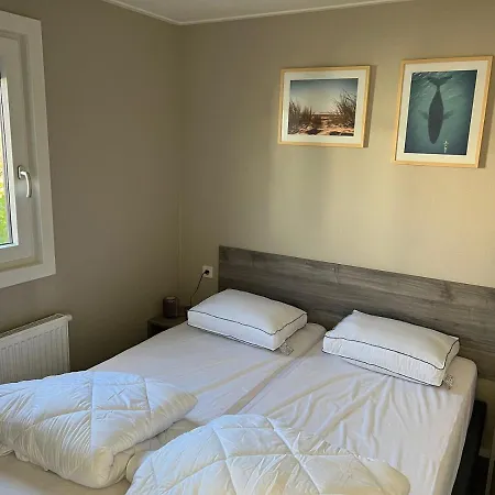 Type Cube Comfort 4 Persons * Lathum